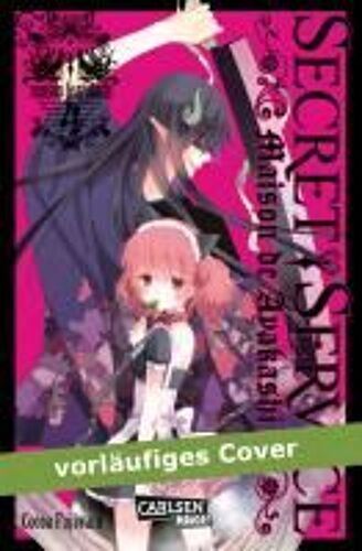 Fujiwara, C: Secret Service, Band 4