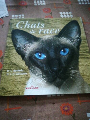 Chats De Race