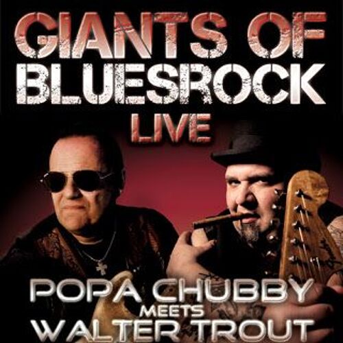 Popa Chubby - Meets Walter Trout 2011 - 82x120cm - Affiche / Poster Envoi En Tube