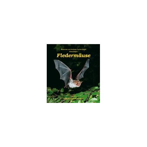 Fledermäuse
