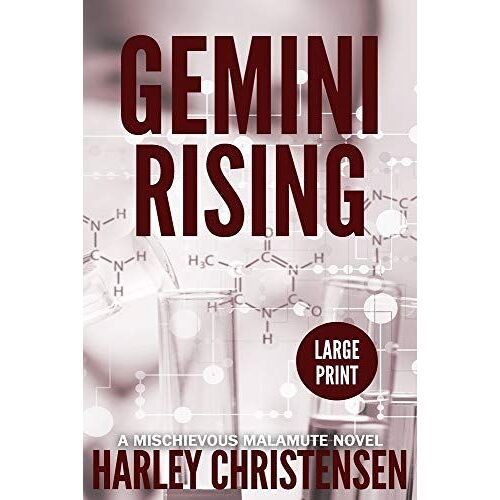 Gemini Rising