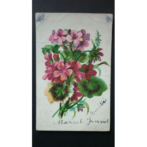 Fleurs Aquarelle