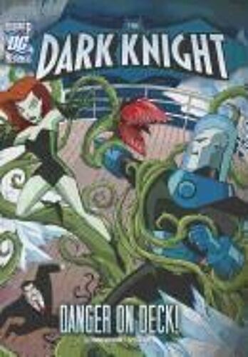The Dark Knight: Batman And The Villainous Voyage