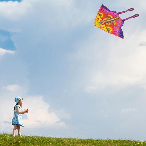 Cerf-Volant Simple 90x50cm, Jeux De Société De Sports De Plein Air, Jouet D'extérieur Sans Enrouleur Pour Enfants, Cerfs-Volants Durables Strin J6z7