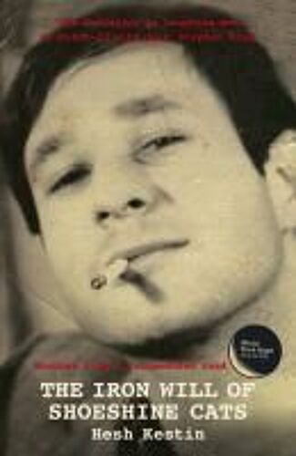 The Iron Will Of Shoeshine Cats