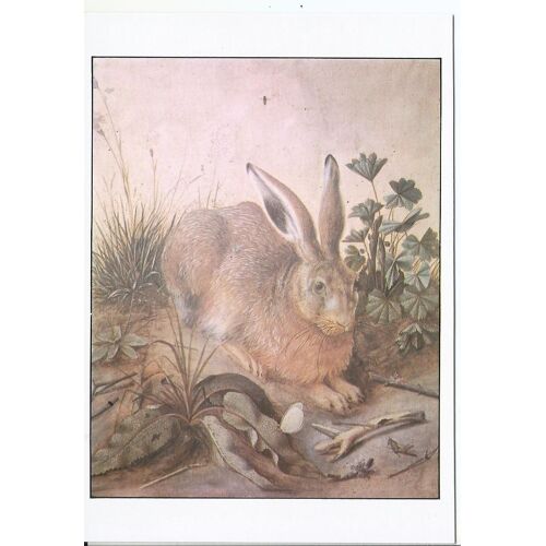 Hans Hoffmann - Le Lapin