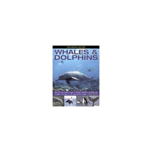 Exploring Nature: Whales & Dolphins