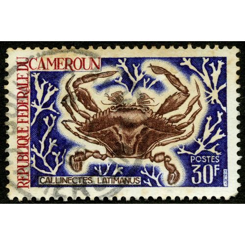 République Fédérale Du Cameroun, Callinectes Latimanus, Postes, 30 F