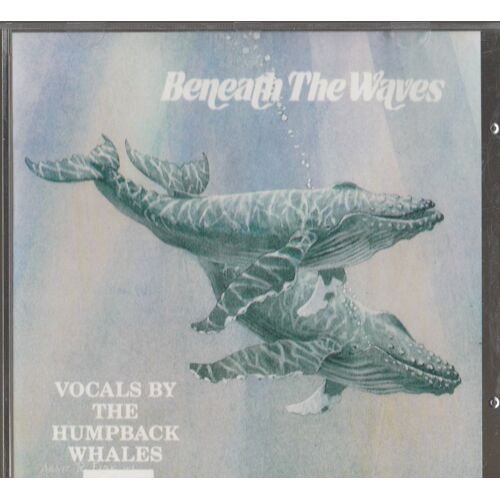 Vocals By The Humpback Whale. Beneath The Waves