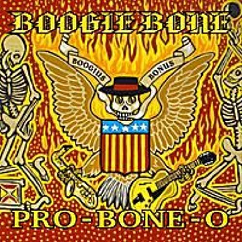 Pro-Bone-O