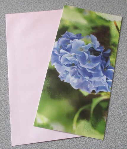 Carte Double De Correspondance Avec Une Fleur D'hortensia Bleue Sur Un Fond Vert/Marron Aux Tons Dégradés - 9x19cm - Éditée Par Les Petits Frères Des Pauvres - Avec Enveloppe Rose