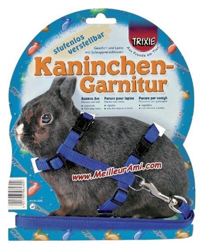 Parure Lapin Adulte Unie