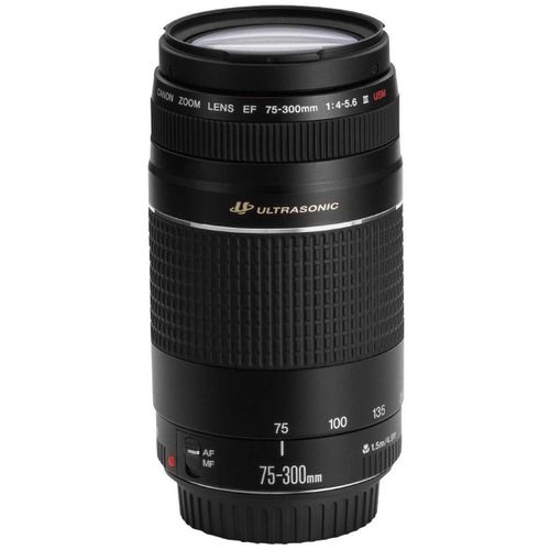 Canon 75-300mm 4-5.6 III