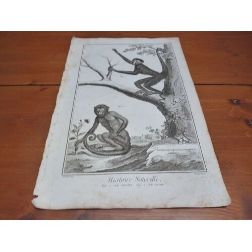 Gravure Originale Ex"Encyclopedie" Diderot/D'alembert (Vers 1780)