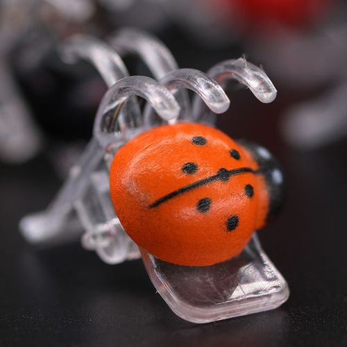 12-48 pièces coccinelle orchidée Clips jardin plante Support pince escalade fleurs vigne fixateur coloré 5 griffes coccinelle bonsaï décoration