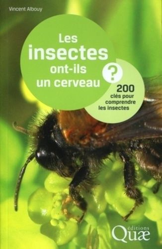 Les Insectes Ont-Ils Un Cerveau ? - 200 Clés Pour Comprendre Les Insectes