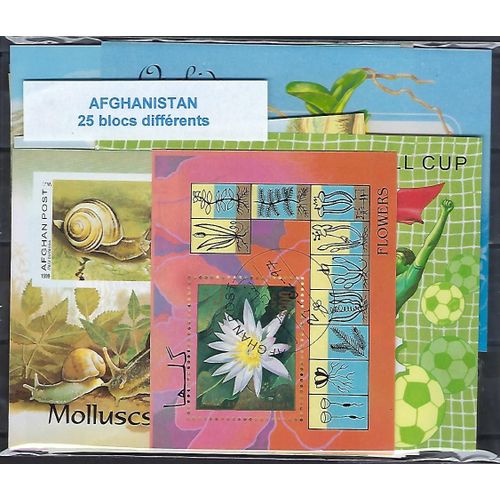 Afghanistan 25 Blocs Différents