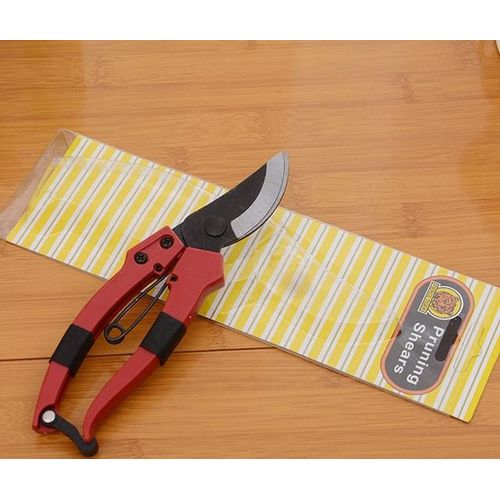 CHKJ outils de greffage réparation bonsaï ciseaux de jardin tranchants en acier pour l'élagage des arbres fruitiers