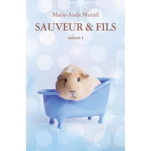 Sauveur & Fils - Saison 1