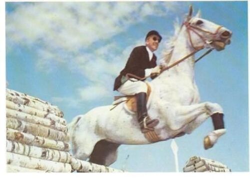 Cheval : Grotte De Lascaux Ou Jumping