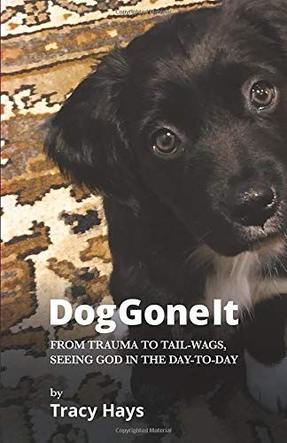 Dog Gone It: From Trauma To Tail-Wags, Seeing God In The Day-To-Day