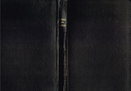 Évangiles Des Dimanches Et Des Principales Fêtes De L'année, Avec Des Réflexions