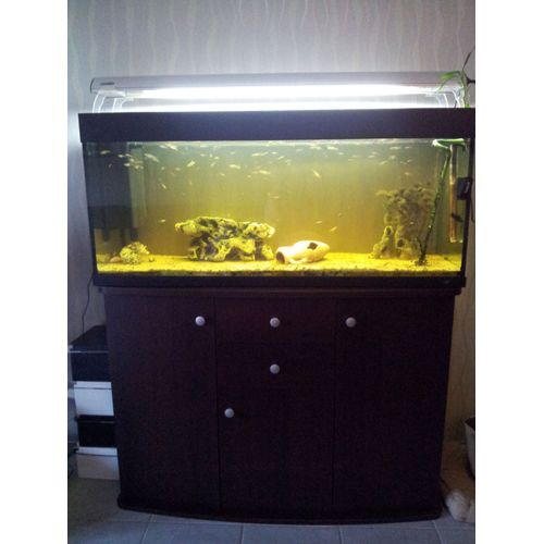 Aquarium Complet De 260 L