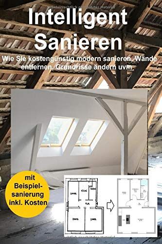 Intelligent Sanieren 2. Auflage: Wie Sie Kostenguenstig Modern Sanieren, Waende Entfernen, Grundrisse Aendern Uvm.