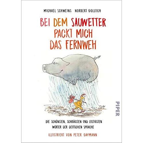 Bei Dem Sauwetter Packt Mich Das Fernweh