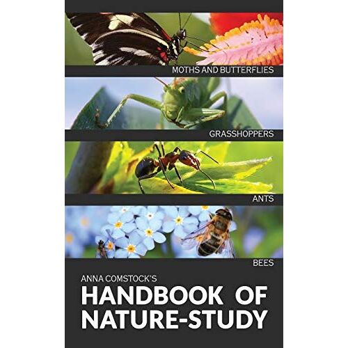The Handbook Of Nature Study In Color - Insects