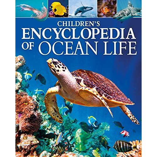 Children's Encyclopedia Of Ocean Life