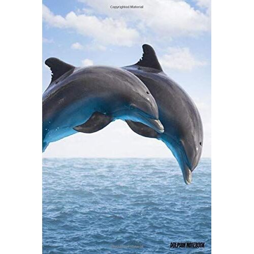 Dolphin Notebook: Cute 6x9" Blank Journal / Diary For Dolphins Lovers