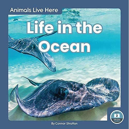 Life In The Ocean