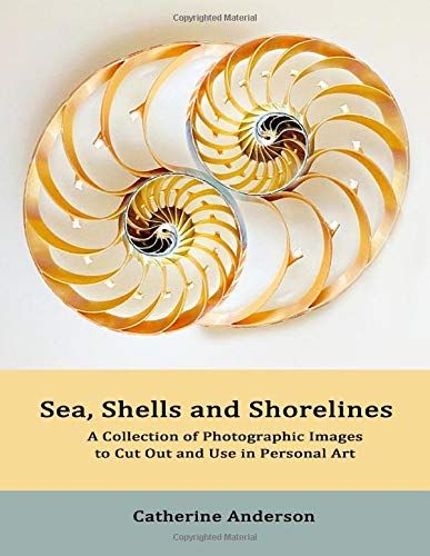 Sea, Shells And Shorelines: Photographic Images For Use In Personal Art
