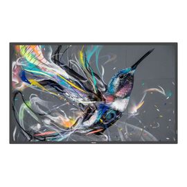 Philips 65BDL3550Q - 65" - Q-Line écran LCD rétro-éclairé par LED - signalisation numérique - Android - 4K UHD (2160p) 3840 x 2160 - LED à éclairage...