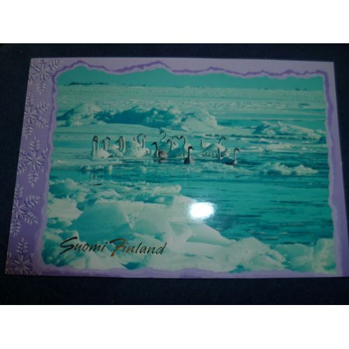 Carte Postale "Finlande" Les Cygnes Suomi Finlande