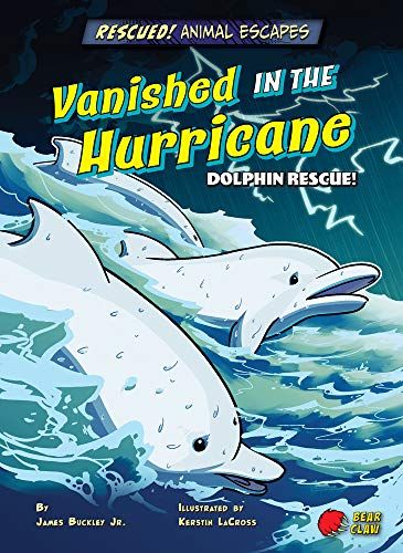 Vanished In The Hurricane