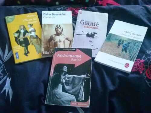 Lot De Livres