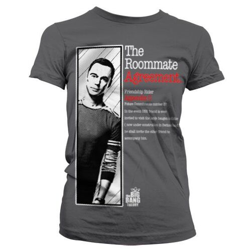 The Big Bang - T-Shirt The Roommate Agreement Girl - Grey (Xxl)