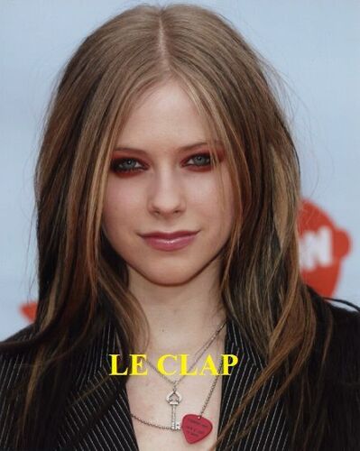 Avril Lavigne / Photo N°1 - Photo 20x25