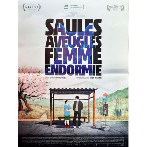 Saules Aveugles, Femme Endormie - Véritable Affiche De Cinéma Pliée - Format 40x60 Cm - De Pierre Foldes - Film D'animation - 2023