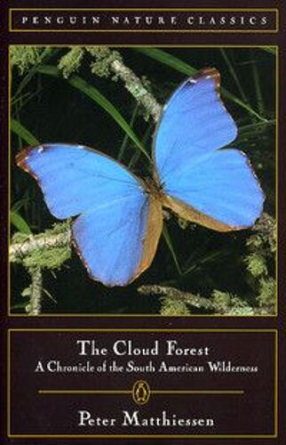 The Cloud Forest