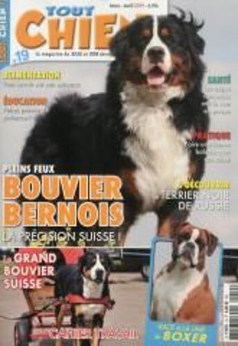 Tout Chien! 19 Pleins Feux Bouvier Bernois La Precision Suisse