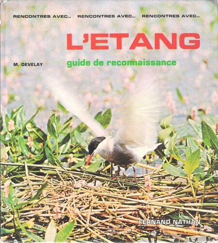 L'etang - Guide De Reconnaissance