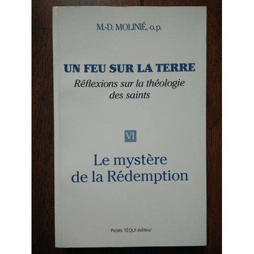 Un Feu Sur La Terre , Réflexions Sur La Théologie Des Saints, Le Mystère De La Rédemption