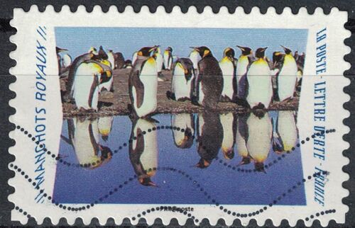 France 2020 Oblitéré Used Animaux Du Monde Reflets Manchots Royaux