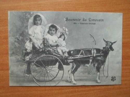 Cpa : Souvenir Du Limousin  : Gracieux Attelage 604