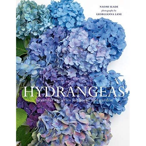 Hydrangeas