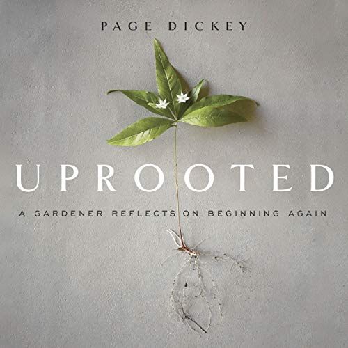 Uprooted: A Gardener Reflects On Beginning Again