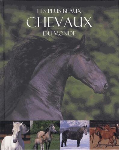 Les Plus Beaux Chevaux Du Monde
